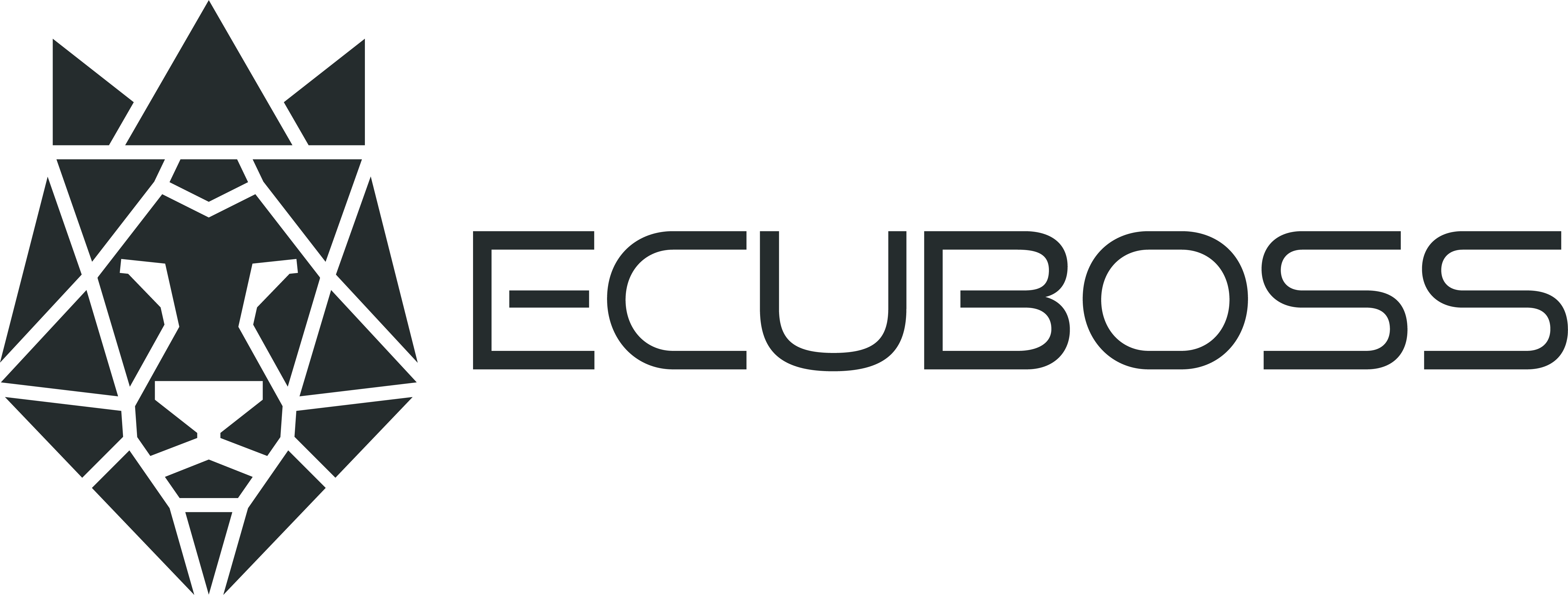 Ecuboss - Professionel Chip Tuning & Araç Yazılımları